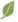 mark